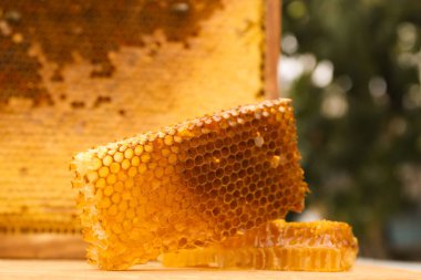 Dışarıdaki ahşap masada taze ve lezzetli bal petekleri.