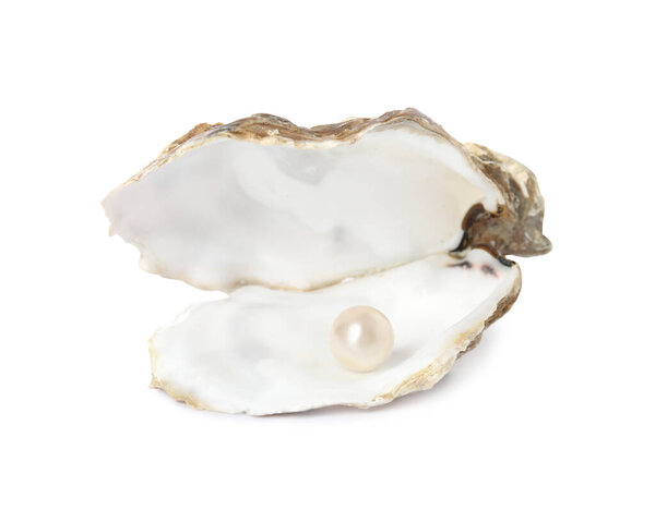 Открытая раковина устрицы с жемчугом на белом фоне