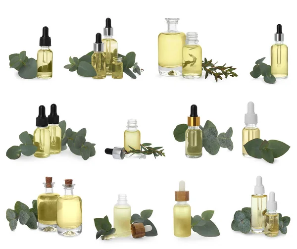 Set Eucalyptus Essential Oil White Background — Stock Photo, Image