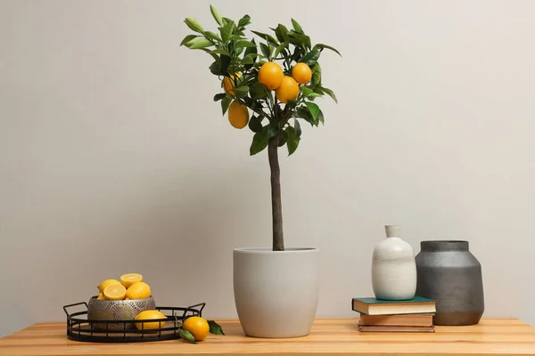 Citroník Květináčích Zralé Ovoce Dřevěném Stole Uvnitř — Stock fotografie