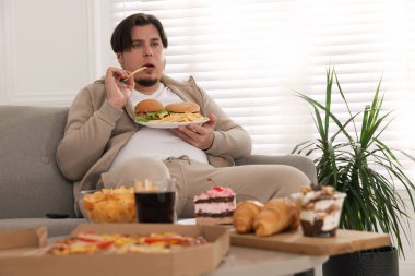 Evdeki kanepede bir tabak hamburger ve patates kızartması olan şişman bir adam.