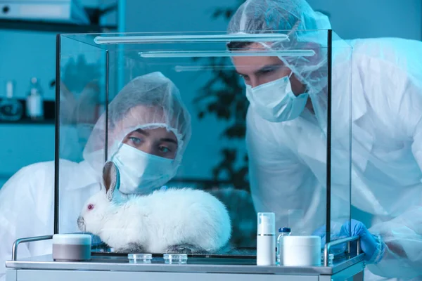 Scientifiques Observant Lapin Blanc Laboratoire Chimique Essais Sur Animaux — Photo