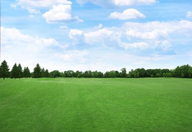Güneşli bir günde yeşil çimenli güzel bir park manzarası