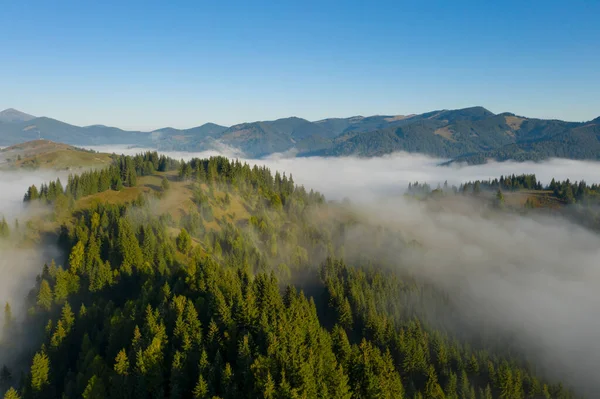 Letecký Pohled Krásnou Krajinu Mlžným Lesem — Stock fotografie