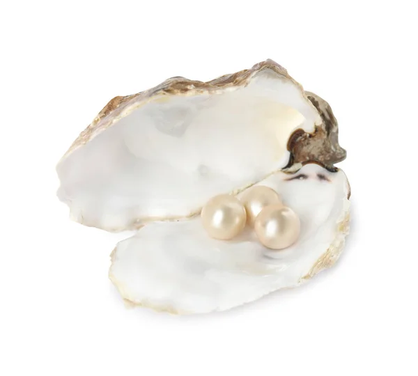 Open Oyster Shell Pearls White Background Stock Picture