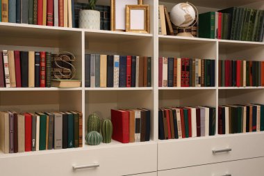 Ev kütüphanesindeki raflarda farklı kitap ve dekoratif öğelerin koleksiyonu