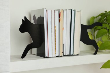 Kitaplı dekoratif kedi kitapları ve kapalı alandaki raflarda bitkiler.