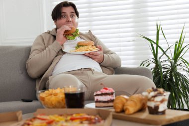 Evdeki kanepede bir tabak hamburger ve patates kızartması olan şişman bir adam.