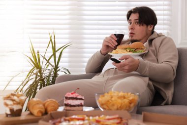 Hamburger tabağı ve patates kızartması olan şişman bir adam evdeki kanepede televizyon izliyor.