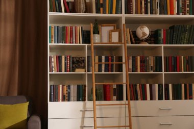 Raflarda farklı kitap koleksiyonu olan ev kütüphanesi iç mimarisi