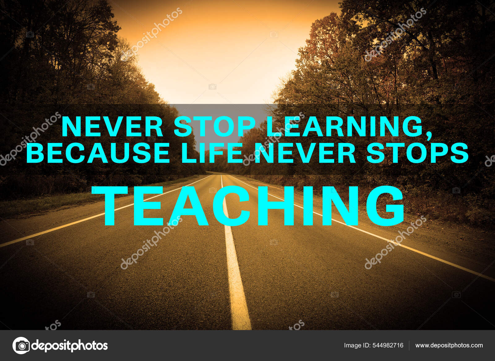 Never Stop Learning Because Life Never Stops Teaching