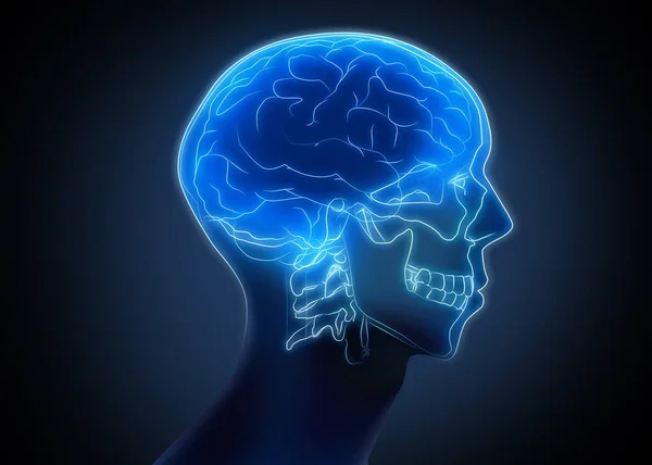 Сканування Людського Мозку Темному Тлі Ілюстрація — стокове фото