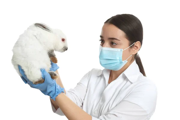 Vetenskapsman Som Håller Kanin Vit Bakgrund Begreppet Djurförsök — Stockfoto