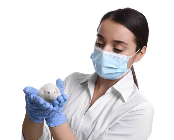 Naukowiec Trzymający Szczura Białym Tle Badania Zwierzętach — Zdjęcie stockowe