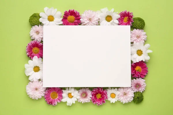 Πλαίσιο Από Όμορφα Λουλούδια Χρυσάνθεμο Και Λευκή Κάρτα Πράσινο Φόντο — Φωτογραφία Αρχείου