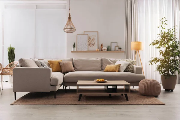 雅致的客厅 内饰舒适的灰色沙发和咖啡桌 — 图库照片