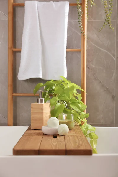 バスルームで植物 石鹸ディスペンサーとバス爆弾と白い浴槽 インテリアデザイン — ストック写真