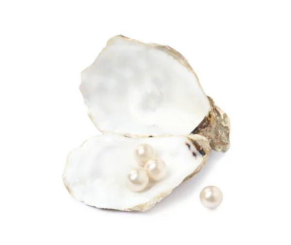 Offene Austernschale Mit Perlen Auf Weißem Hintergrund — Stockfoto
