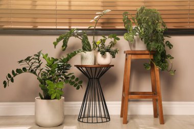 Pencerenin yanındaki katta farklı bitkiler var. İç tasarım