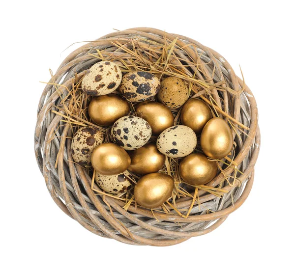 Nest Golden Ordinary Quail Eggs White Background Top View — Stock Photo, Image