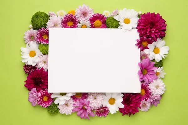 Πλαίσιο Από Όμορφα Λουλούδια Χρυσάνθεμο Και Λευκή Κάρτα Πράσινο Φόντο — Φωτογραφία Αρχείου