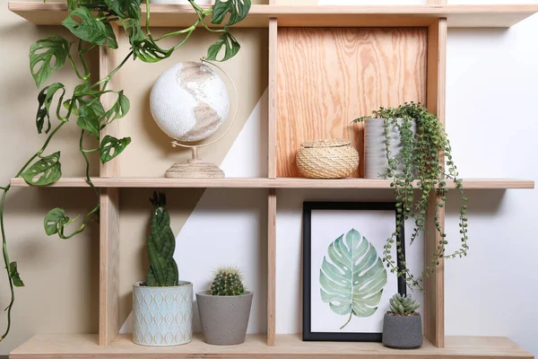 Wooden Shelving Unit Interior Accessories Houseplants Color Wall — Stock Photo, Image