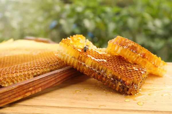 Färska Läckra Honeycombs Och Kupa Ram Träbord — Stockfoto