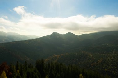 Sonbahar günü güzel dağ ormanlarının havadan görünüşü