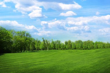 Güneşli bir günde yeşil çimenli güzel bir park manzarası