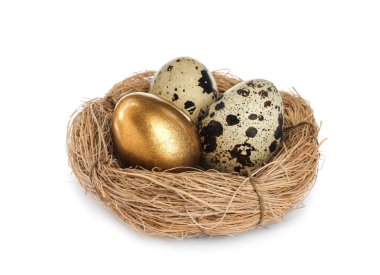 Beyaz arka planda bıldırcın yumurtalı ve altın sarısı yuvası.