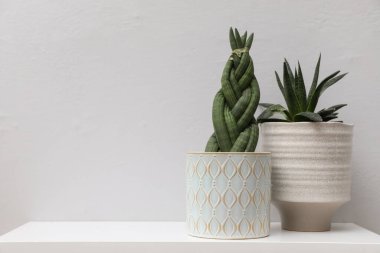 Beyaz duvarında güzel bitkiler olan raflar, yazı için yer. İç aksesuarlar