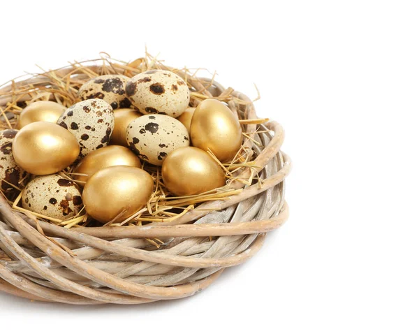 Nest Met Gouden Gewone Kwarteleitjes Witte Achtergrond — Stockfoto
