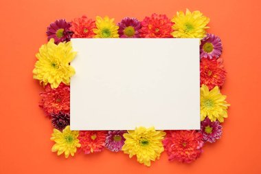 Güzel kasımpatı çiçeklerinden yapılmış bir çerçeve ve turuncu arka planda boş bir kart. Metin için boşluk