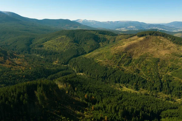 Beautiful Mountains Covered Forest Sunny Day Drone Photography — Zdjęcie stockowe