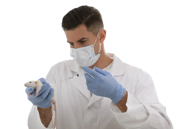 白地に注射器とラットを持つ科学者 動物実験 — ストック写真