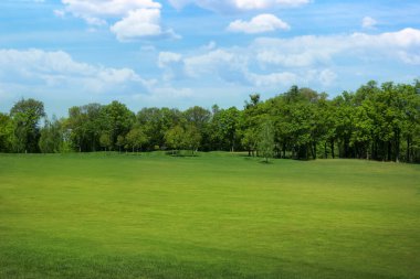 Güneşli bir günde yeşil çimenli güzel bir park manzarası