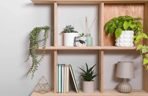 Wooden Shelving Unit Interior Accessories Houseplants White Wall — Stock Photo, Image