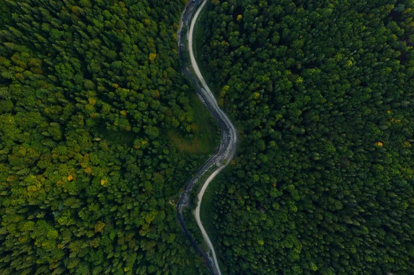 美しい緑の木々に囲まれた森林に囲まれたアスファルト道路の空中ビュー — ストック写真