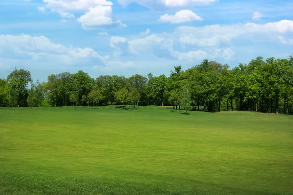 Vacker Utsikt Över Parken Med Grönt Gräs Solig Dag — Stockfoto