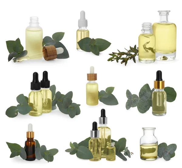 Set Med Eukalyptus Eterisk Olja Vit Bakgrund — Stockfoto