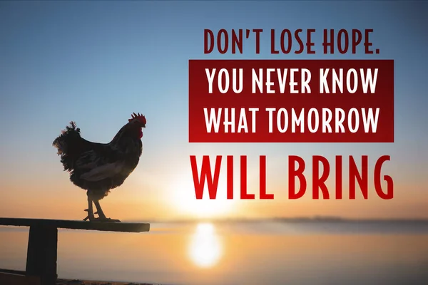 Don Lose Hope You Never Know What Tomorrow Bring Inspirational — Stock Photo, Image