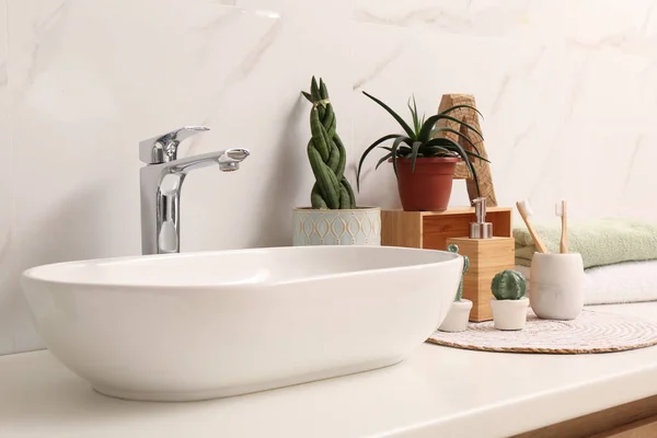 浴室台面的器皿槽和不同的室内植物 — 图库照片
