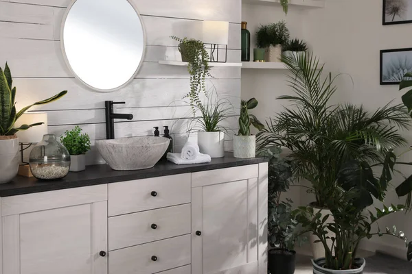 Stylish Bathroom Interior Vessel Sink Beautiful Plants — Stock Photo, Image