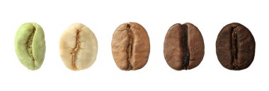 Beyaz arka planda kahve çekirdeği kızartma aşamaları, kolaj. Pankart tasarımı