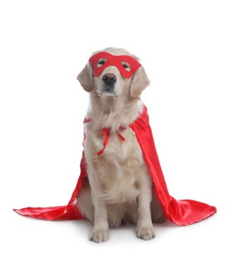 Kırmızı süper kahraman pelerinli ve maskeli sevimli köpek beyaz arka planda.