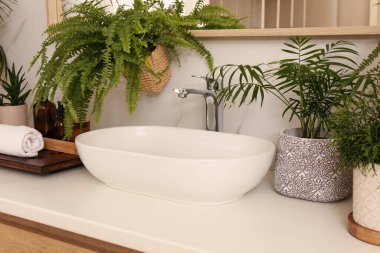 Lavabo ve beyaz mermer duvarın yanında bir sürü farklı ev bitkisi var.