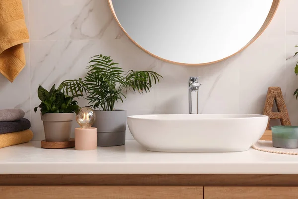 浴室台面的器皿槽和不同的室内植物 — 图库照片