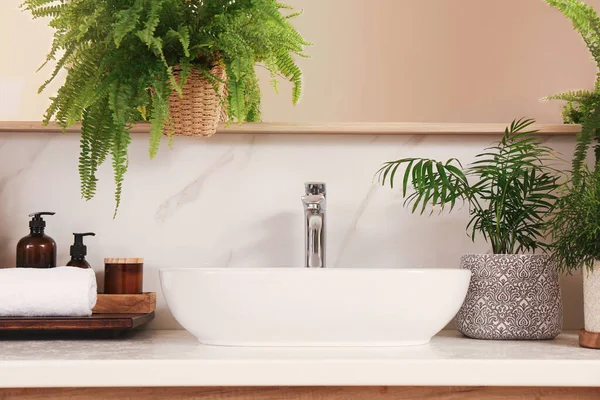 Counter Sink Many Different Houseplants White Marble Wall — Stock Photo, Image