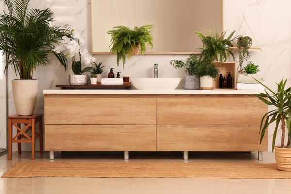 Bathroom Decorated Green Houseplants Interior Design — Stock Photo, Image