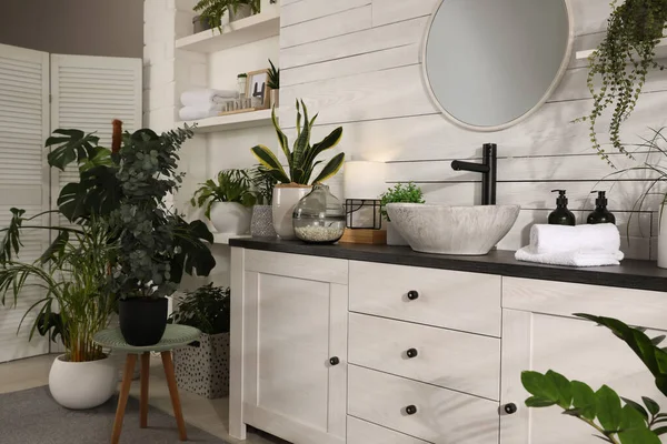 Stylish Bathroom Interior Vessel Sink Beautiful Plants — Stock Photo, Image